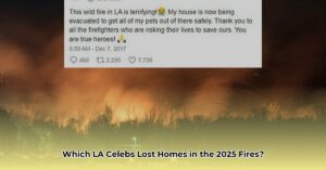 Celebrities_affected_by_Los_Angeles_wildfires_edited