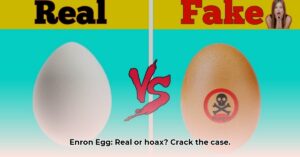 Is_Enron_Egg_real_edited