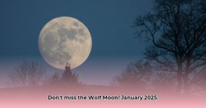 when_is_the_wolf_moon_in_january_2025_edited